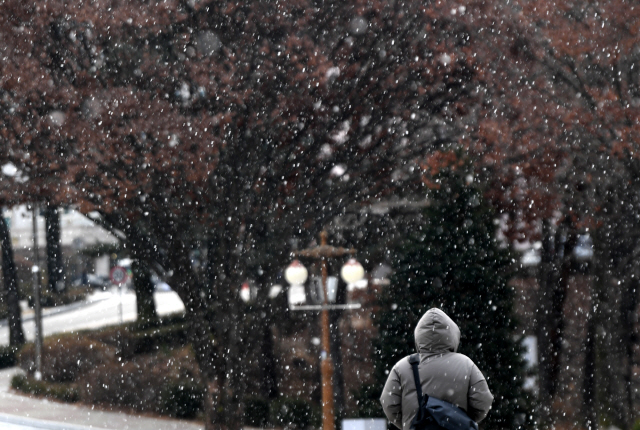 ▲ 도내 대부분지역 아침 최저기온이 -8도이하로 떨어지고 눈이 내린 6일 강원대학교 춘천캠퍼스에서 학생들이 발걸음을 옮기고 있다.  김정호