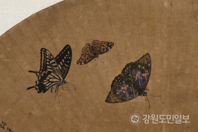 ▲ 김홍도 작, ‘협접도 부채’ 속 나비를 확대한 모습. 사진제공=국립춘천박물관