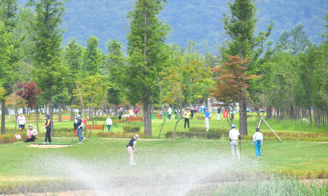 마실파크골프아카데미 이미지