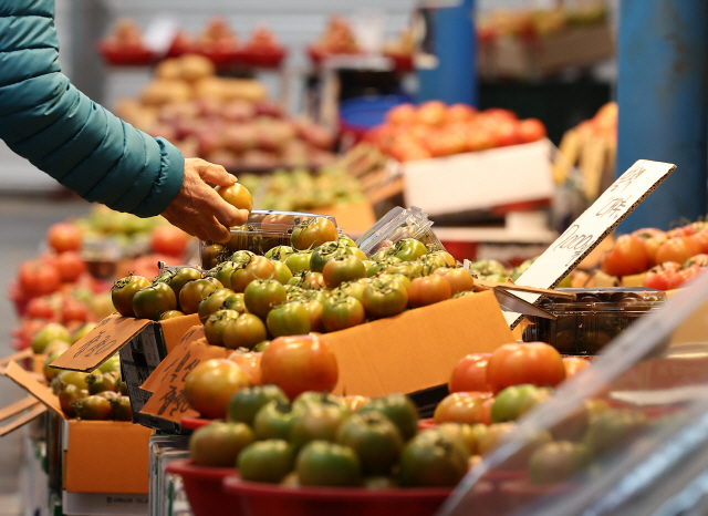 ▲ 과일 가격 급등으로 식료품 물가 또한 고공 행진을 이어가는 가운데 지난 10일 서울의 한 재래시장에 토마토가 진열되어 있다. 연합뉴스
