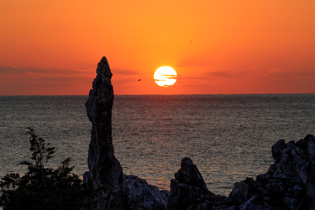 �߾�(����)�� �ƽó���? �д������ ���̳���? < ���� < ���� < ��纻�� - ���������Ϻ�