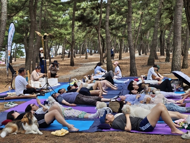 ▲ 반려인과 반려견이 함께 즐긴 국내 최초의 해양레저 펫가족(펫밀리)축제인 ‘2025 강릉해양레저 펫가족 힐링 페스티벌’이 최근 강릉 송정해변에서 성황리에 막을 내렸다.