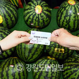 ▲ 민생회복 소비쿠폰