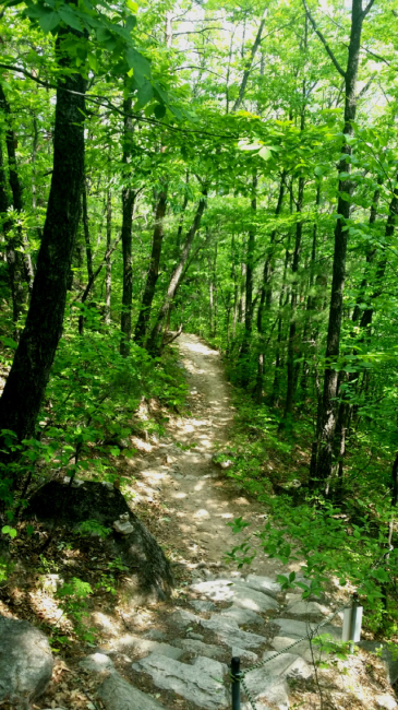 ▲ 깊은 산 등산로