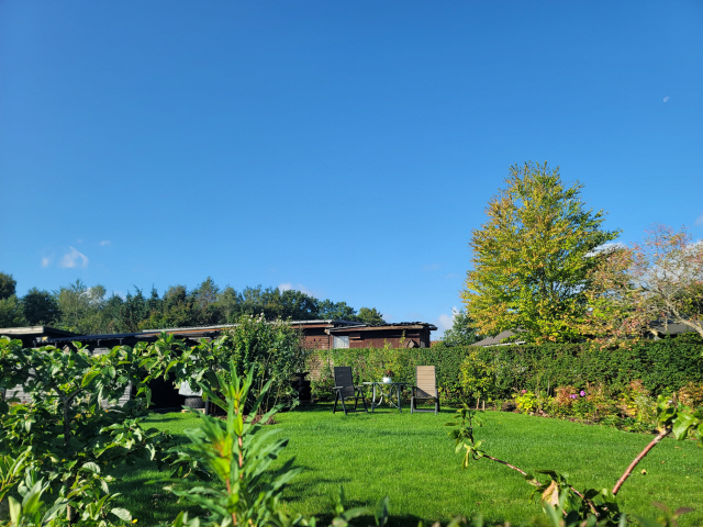 ▲ 덴마크 비어케뢰 지역의 한 공동정원(콜로니하베)