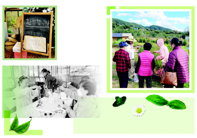 ▲ 1 춘천 신북읍 고은원예치료센터 입구 환영 푯말2 고은원예치료센터 참가자들이 허브를 따며 이야기를 나누고 있다. 3 24일 고은원예치료센터 프로그램 참가자들이 직접 딴 허브를 유리병에 담아 허브식초를 만들고 있다.  이설화 기자