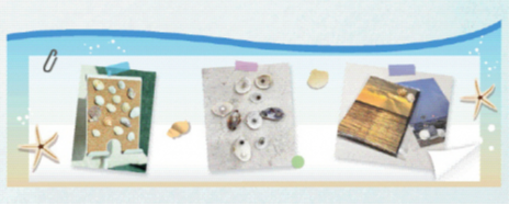 ▲ 김 대표가 고성해변에서 직접 주운 조개들로 만든 작품들