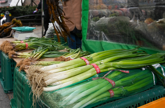 ▲ 강원도민일보 자료 사진