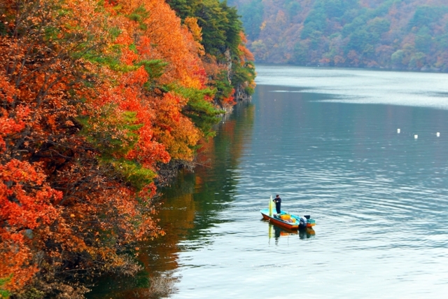 ▲ 9일 인제 소양호 일원에서 단풍이 짙게 물드는 호반을 배경으로 어부가 조업을 하고 있다. 인제군 제공