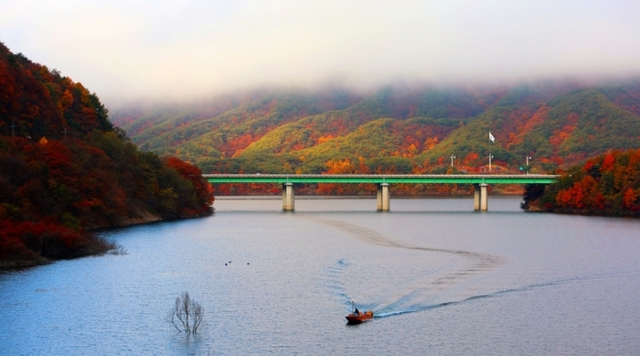 ▲ 9일 인제 소양호 일원에서 단풍이 짙게 물드는 호반을 배경으로 어부가 조업을 하고 있다. 인제군 제공