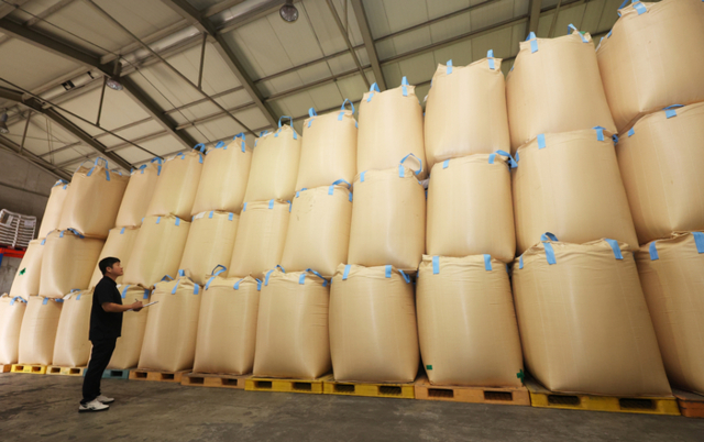 ▲ 경기도의 한 미곡종합처리장에서 관계자가 올해 수매한 쌀을 살펴보는 모습. 연합뉴스