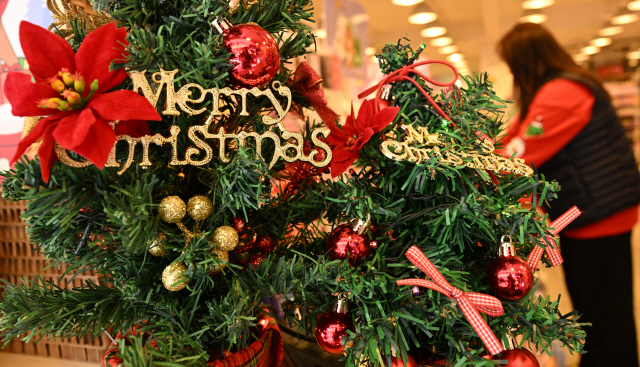 ▲ 크리스마스와 연말을 앞두고 17일 춘천의 한 팬시점에 크리스마스트리를 비롯한 관련 소품들이 진열돼 시민들의 눈길을 끌고 있다.  김정호 기자