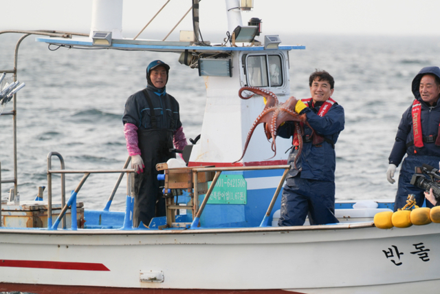 ▲ 김진태 강원도지사가 지난 4월 17일 올해 첫 개장한 동해 최북단 저도어장을 찾아 안전 상황을 점검하고 민생 현장을 체험했다. 강원도 제공