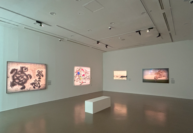 ▲ 양구군립박수근미술관 창작스튜디오 20주년 기념 기증작품전 ‘이토록 고집스런 세계에서’ 전시장 전경