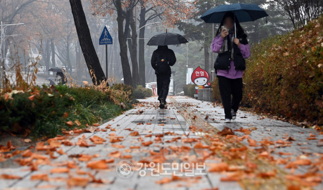 ▲ 겨울을 재촉하는 비가 내린 25일 강원대 춘천캠퍼스에서 학생들이 우산을 쓰고 길을 걷고 있다. 방도겸 기자