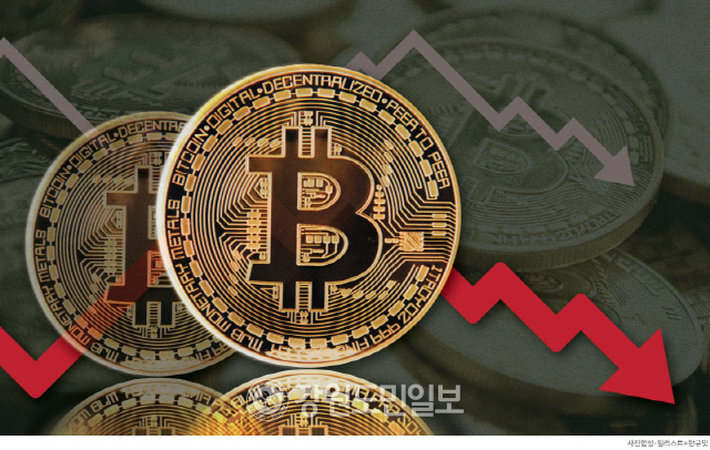 비트코인 가격 하락 관련 이미지