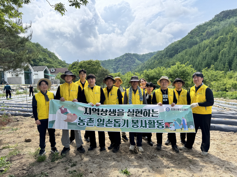 강원신보 온마음봉사단 농촌 일손돕기 - 뉴스 썸네일 이미지