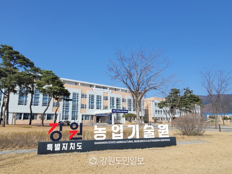 ▲ 강원도농업기술원