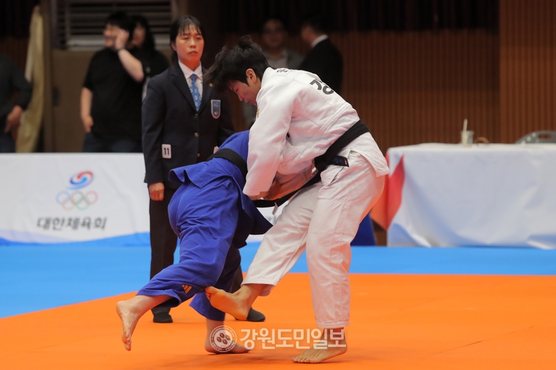 강원 유도 일반부 제대로 메쳤다...개인전서 독보적 성적 과시 - 뉴스 썸네일 이미지