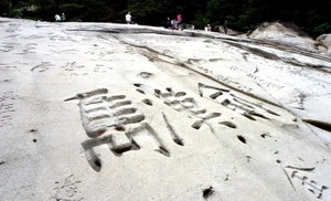 [남궁창성의 인문학 산책] 眞珠伯 李埉(진주백 이협)