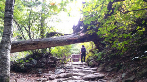 [최동열의 요산요설(樂山樂說)] 32. 산에서 체화하는 겸손의 미덕