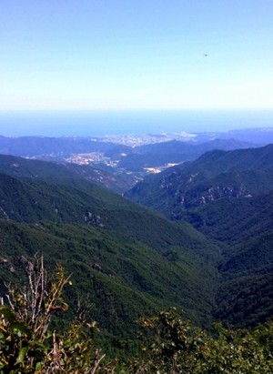 [최동열의 요산요설(樂山樂說)] 37. 동해·삼척 청옥산