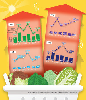 [강원마켓+] 폭염이 만든 물가 롤러코스터…강원 채솟값 고공행진