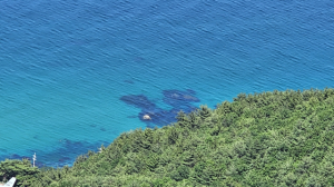 [최동열의 요산요설(樂山樂說)] 46 강릉 괘방산 ‘사랑바위’