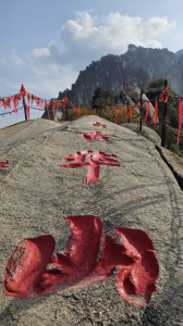 [최동열의 요산요설(樂山樂說)] 50. 기암절벽의 대명사, 중국 ‘화산(華山)’ 탐방기