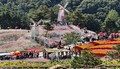 철원 고석정꽃밭 관광객 300만 시대 활짝