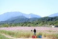 개천절 아침 기온 뚝…산지엔 서리·얼음